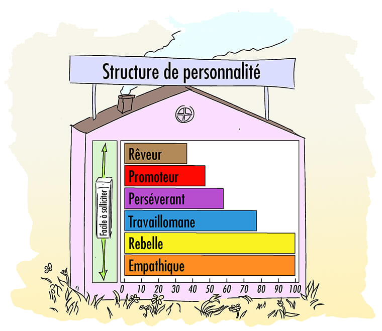 L'inventaire de personnalité - Open You